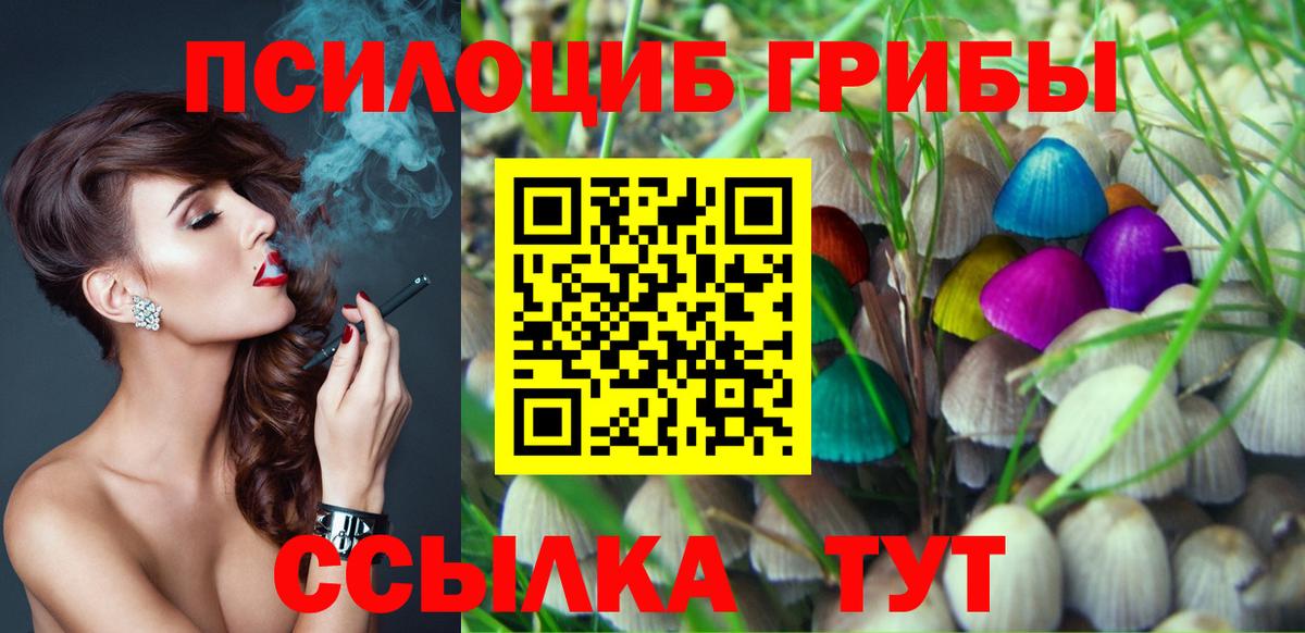 Галлюциногенные грибы прущие грибы Великие Луки