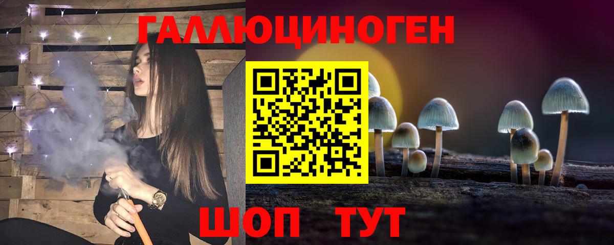Великие Луки  Псилоцибиновые грибы Psilocybine cubensis  Вход с VPN 